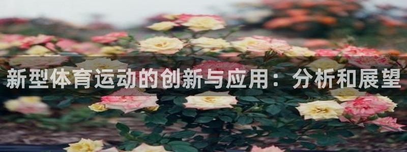 尊龙官方正版app娱乐平台：新型体育运动的创新与应用