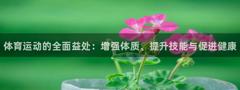 尊龙官方正版app娱乐下载：体育运动的全面益处：增强