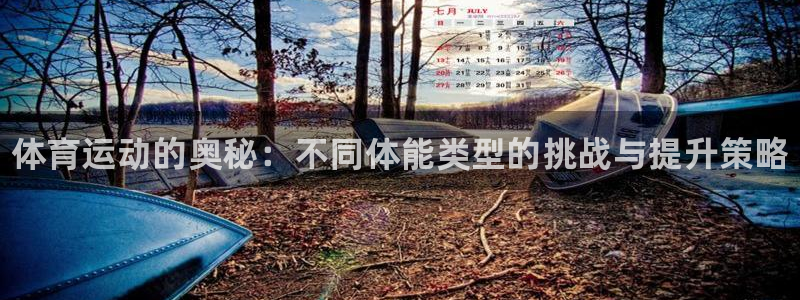 尊龙官方正版app集团简介：体育运动的奥秘：不同体能类型的挑