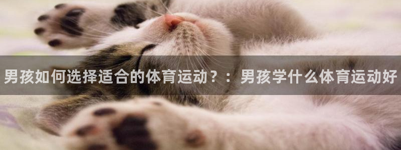 海南尊龙官网下载：男孩如何选择适合的体育运动？：男孩