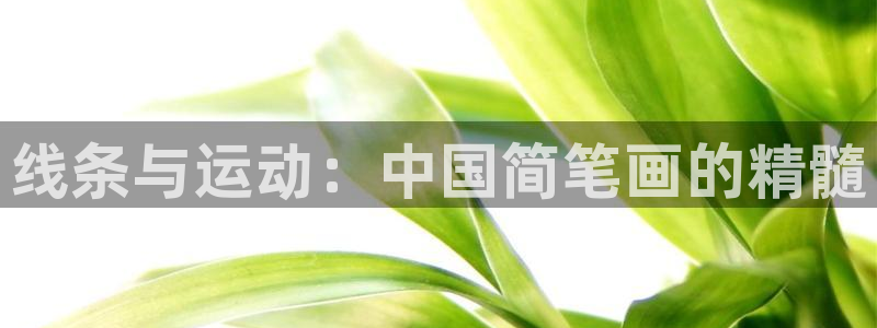 尊龙官方正版app娱乐平台：线条与运动：中国简笔画的