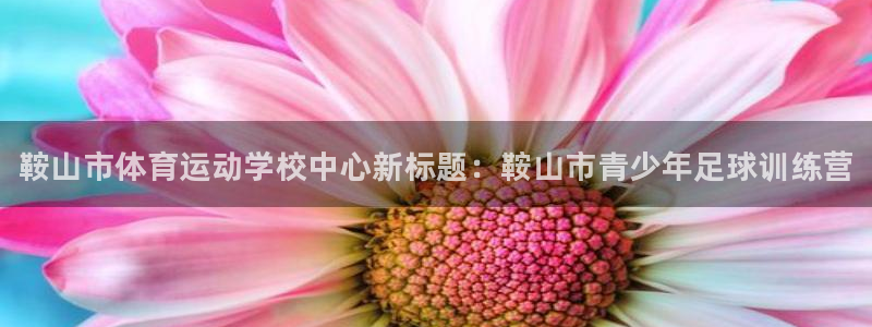 尊龙官网下载平台注册要钱吗安全吗：鞍山市体育运动学校中心新标
