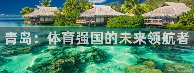 尊龙官网下载平台注册：青岛：体育强国的未来领航者