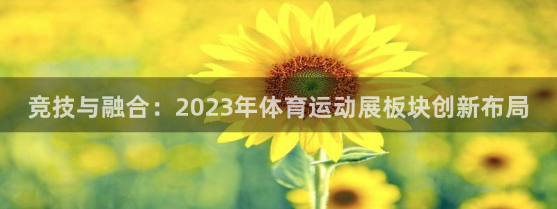 尊龙官方正版app娱乐：竞技与融合：2023年体育运