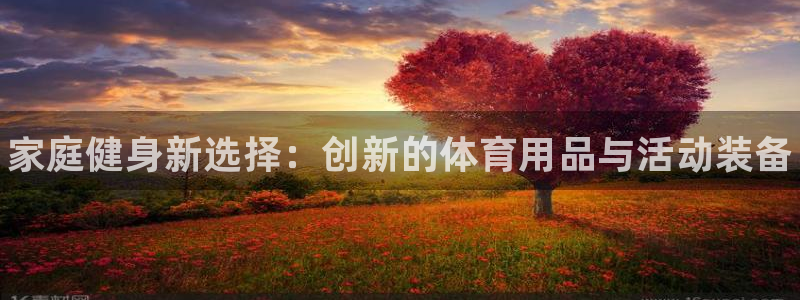 尊龙官方正版app官方：家庭健身新选择：创新的体育用品与活动