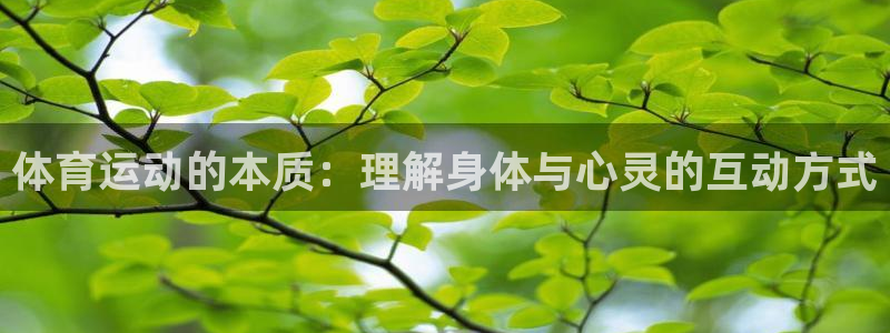 尊龙用现金一下指导ag发财网